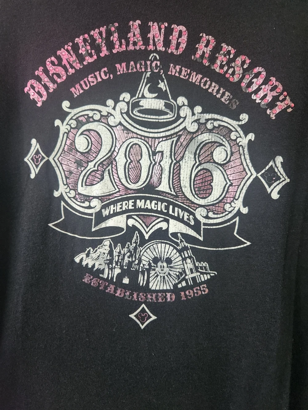 Disneyland Resort 2016 Black Graphic Tee - Women's 1X - Picture 2 of 7